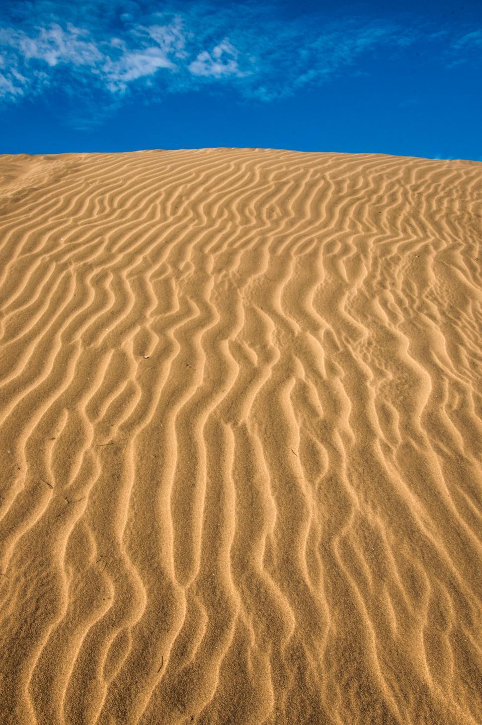 Free Image of Sand dunes 