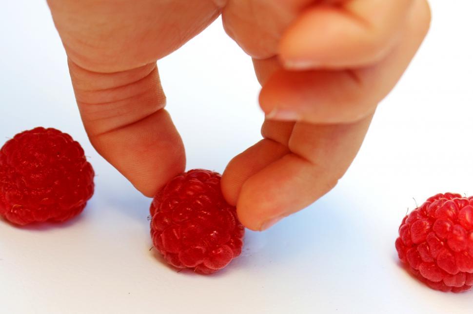 Free Image of Hand-picking a raspberry 