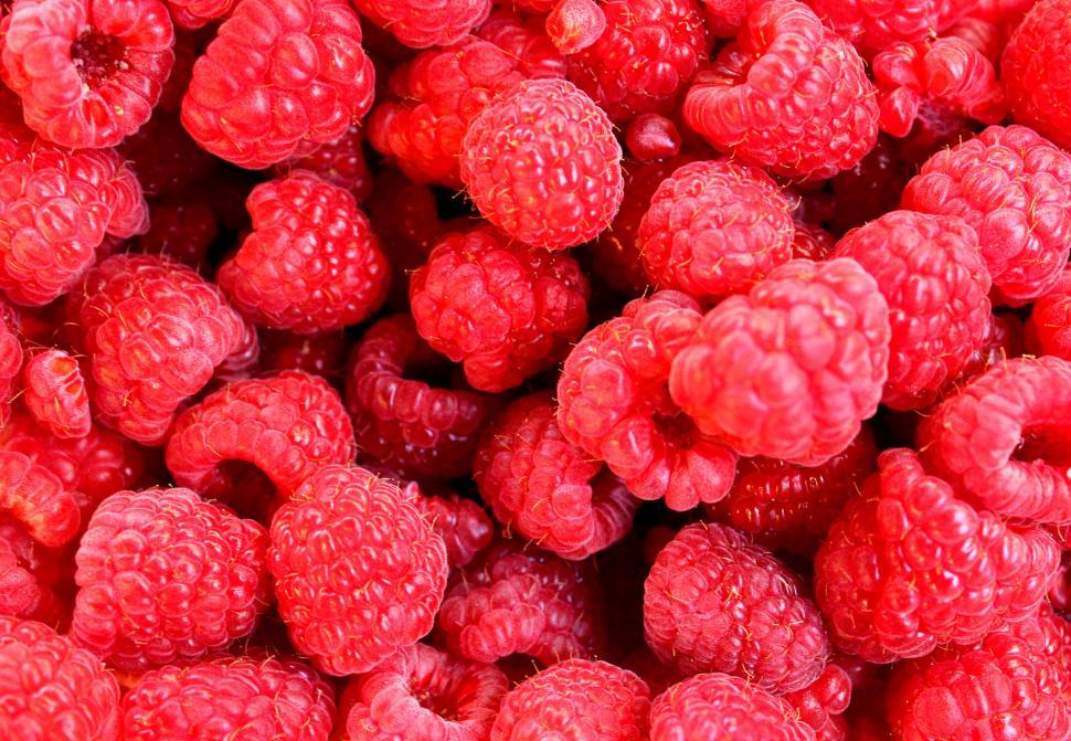 Free Image of Raspberries only 