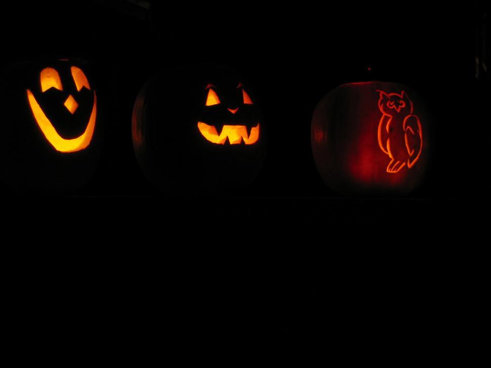 Free Image of pumpkins at night 1 