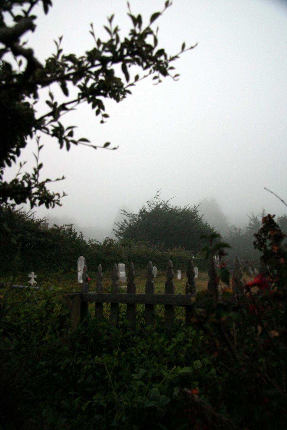 Free Image of Spooky graveyard 