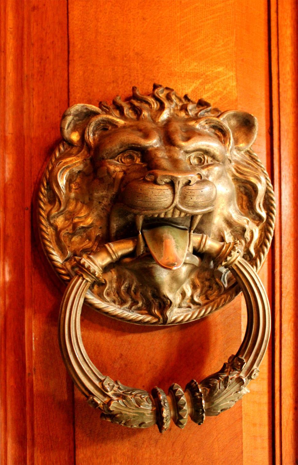 Free Image of Ornate ancient door knocker - Lions head 