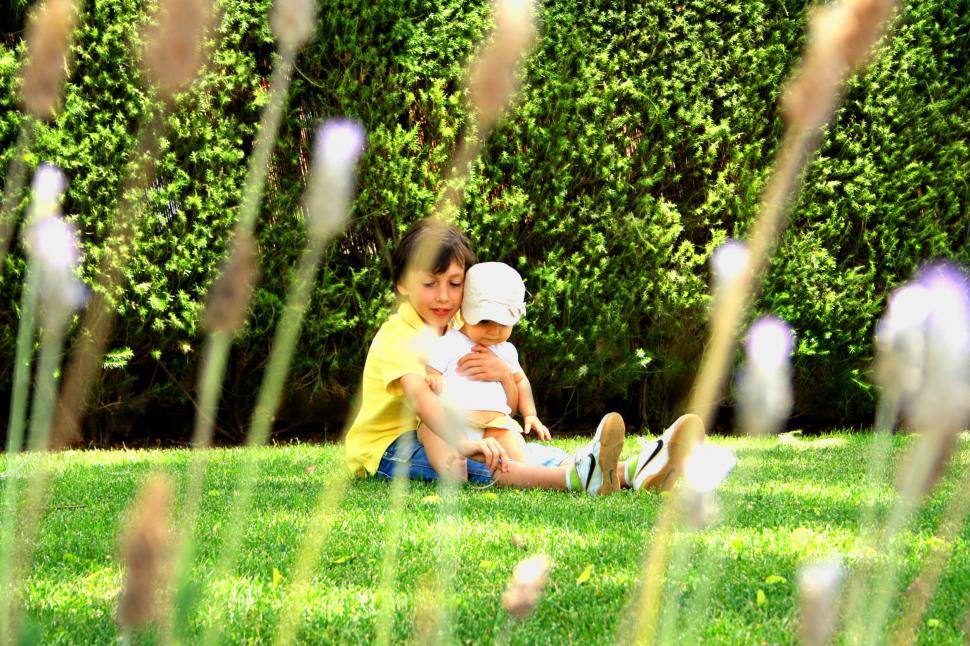 Free Image of Sweet older brother hugging his young sister on the grass 