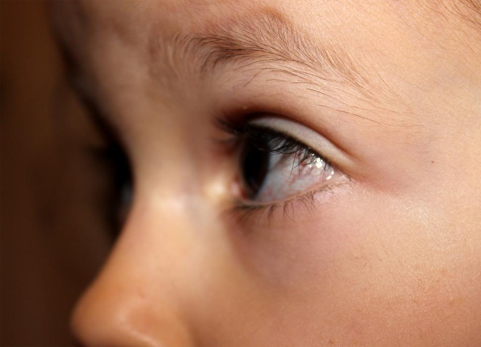 Free Image of Toddler brown eyes - closeup 