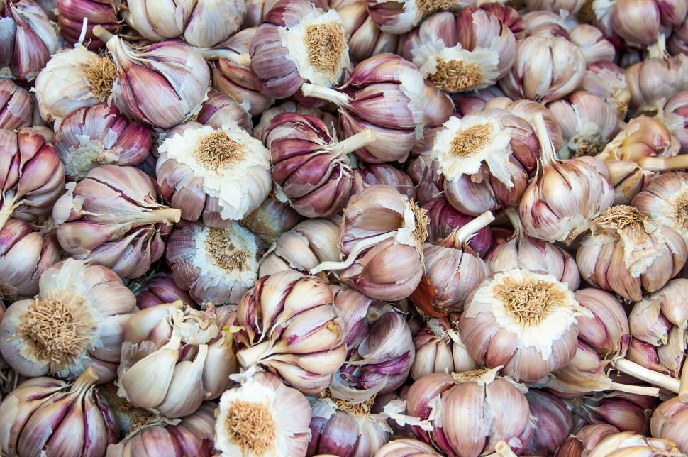 Download Free Stock Photo of fresh garlics in a market 