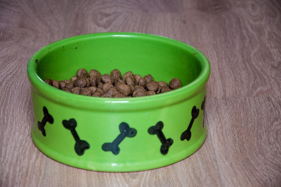Free Image of bowl with dry food for dog or cat  
