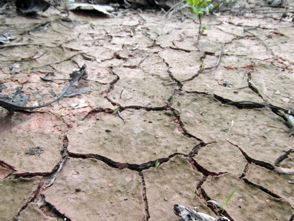 Free Image of Dry Cracked Earth 