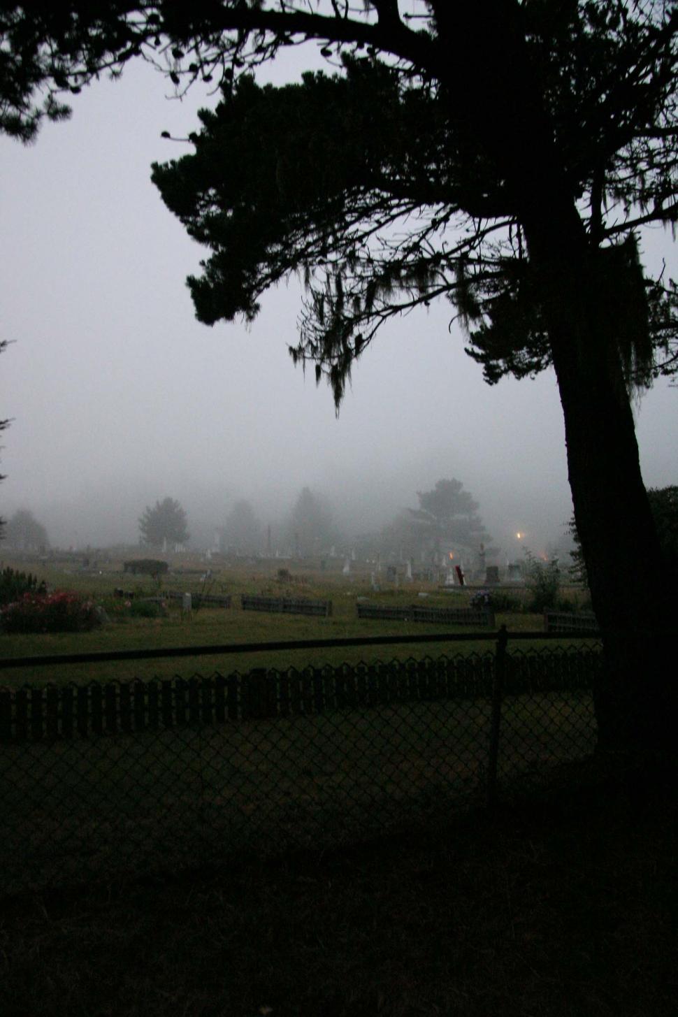 Free Image of Cemetery fog 