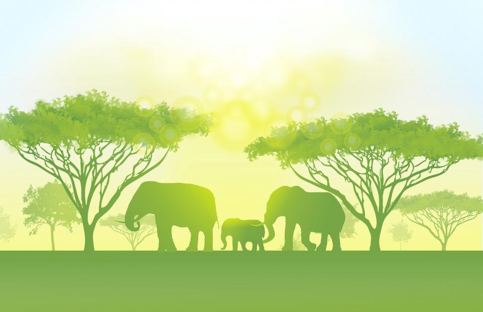 Free Image of Go Green Concept - A beautiful world - Elephant family 