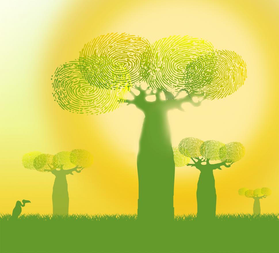 Download Free Stock Photo of Ecology Concept - Fingerprints on Baobab Trees - Green and Yello 