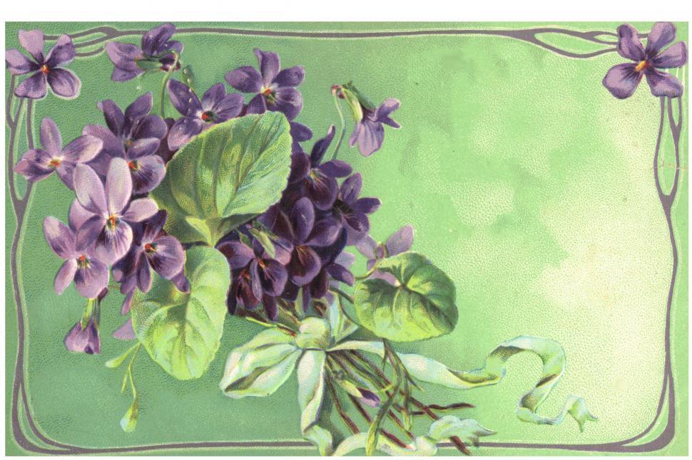 Free Image of Vintage flower Card 