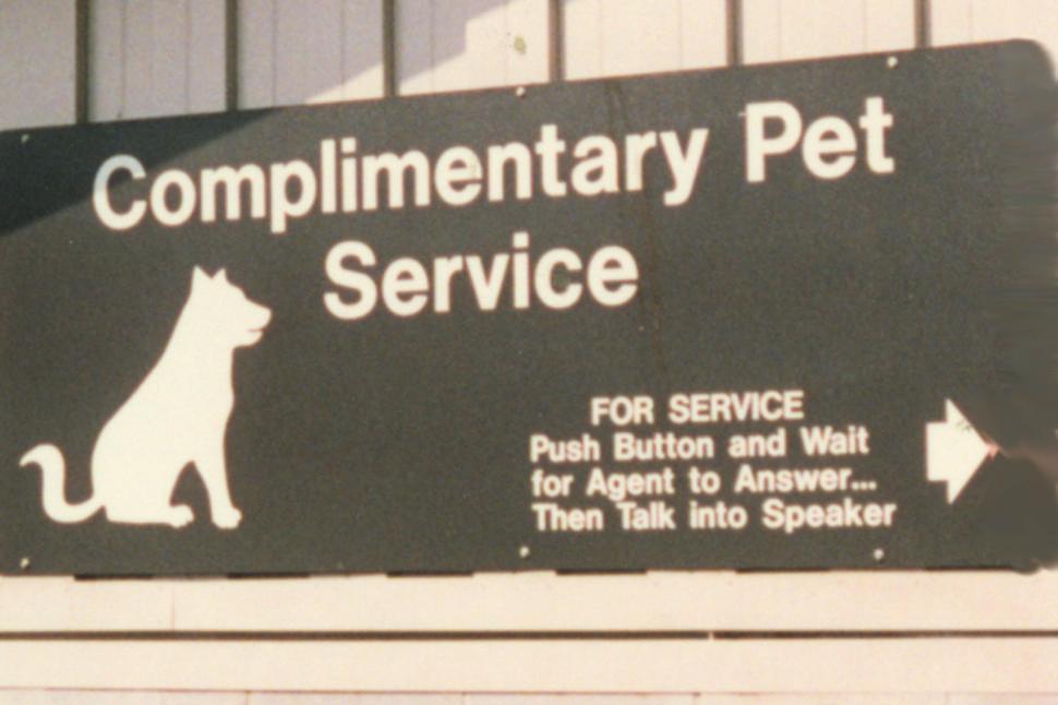 Free Image of Pet Service 