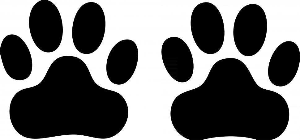 Free Image of Dog paws  