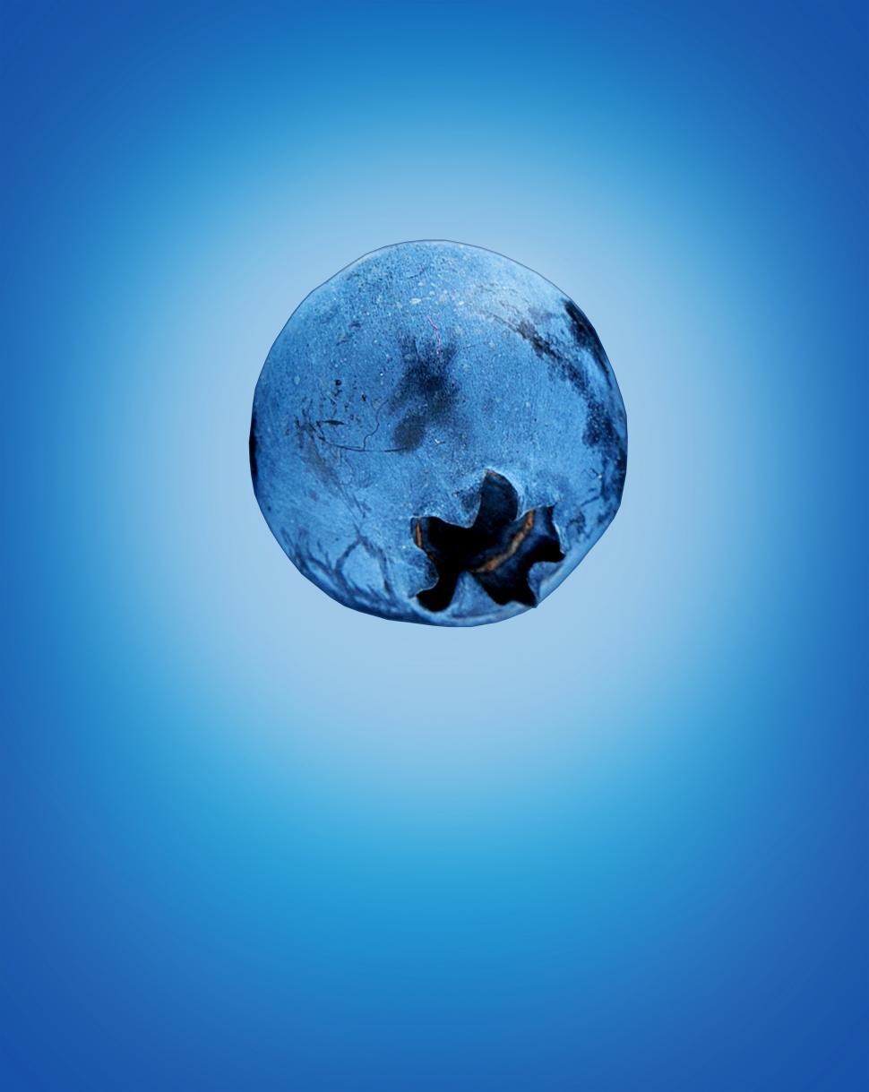 Free Image of Blue Berry on Blue Background  
