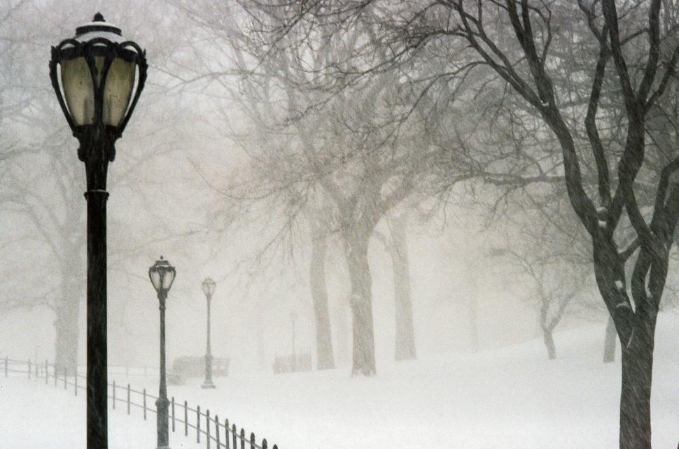 Free Image of Central Park in the snow 