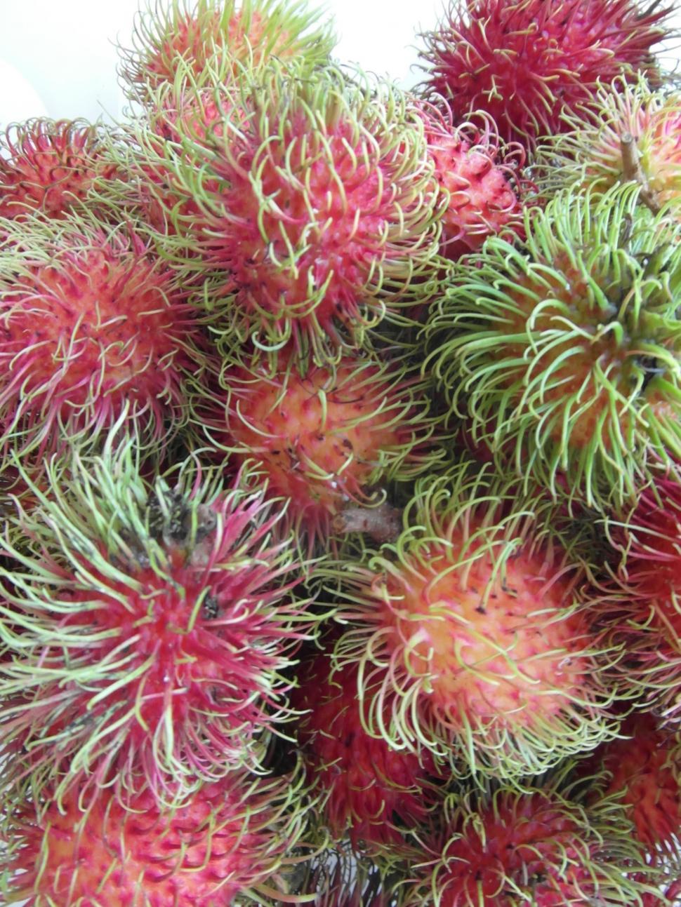 Free Image of Rambutan Fruits  