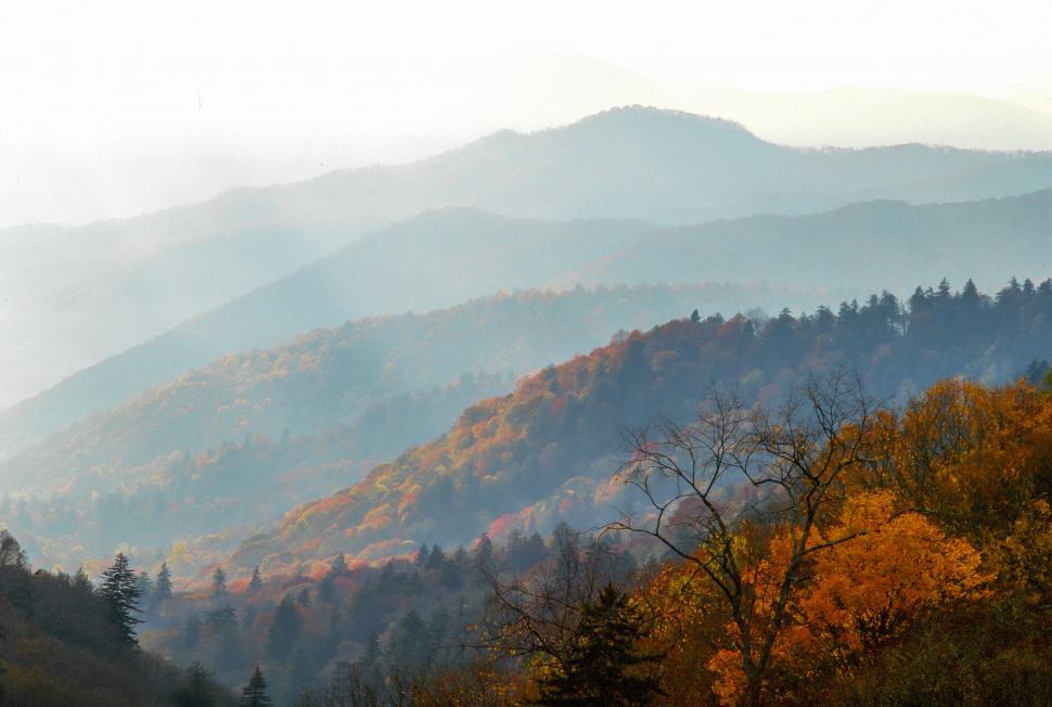 Free Image of Great Smoky Mountains 