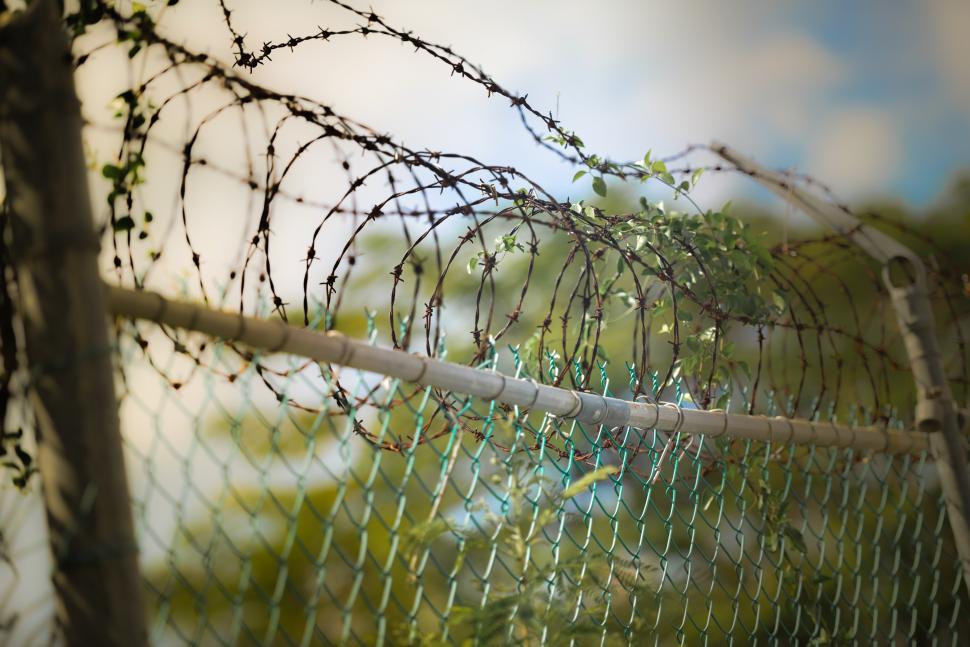 Free Image of Barbed wire fence 