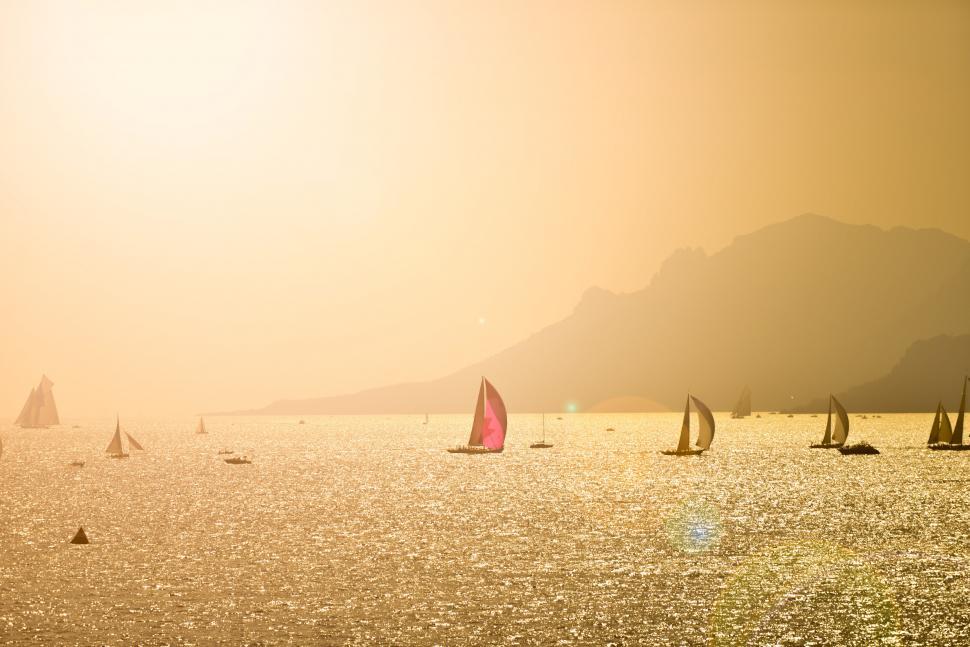 Free Image of Sails in golden light 