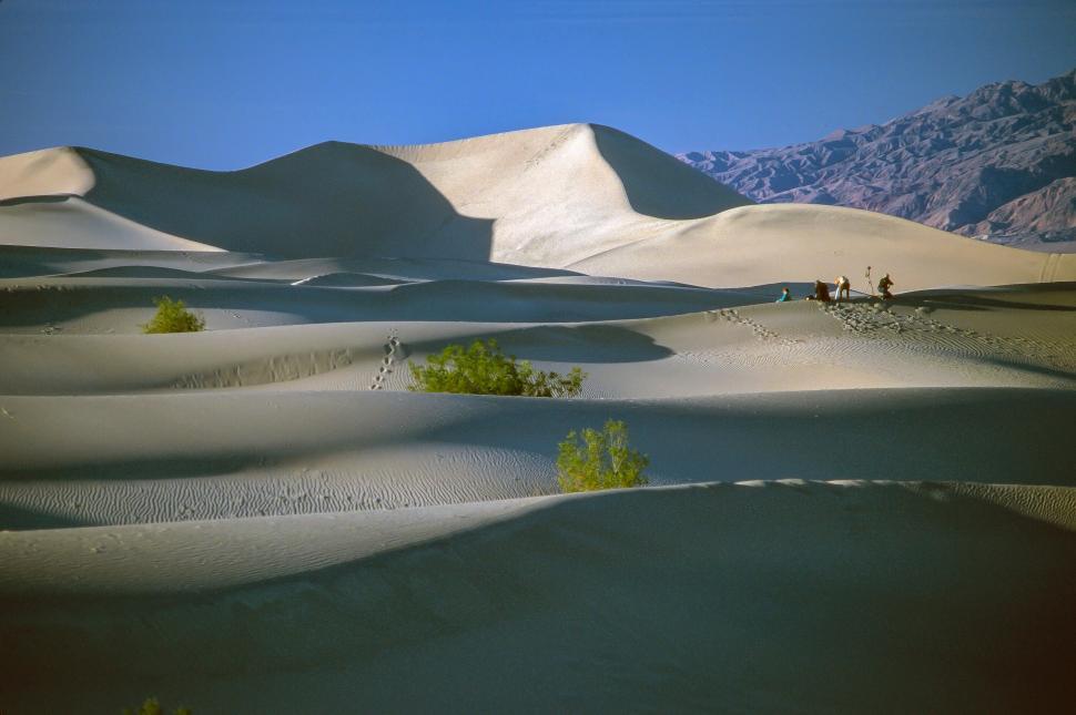 Free Image of Sand Dunes Patterns 