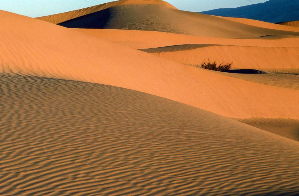 Free Image of General view of Sand dunes 
