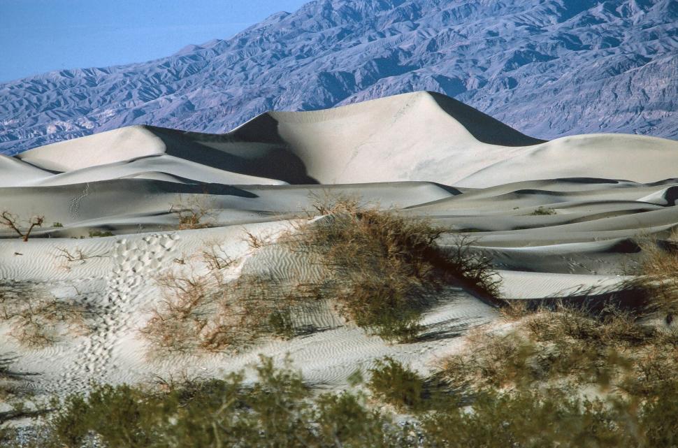 Free Image of White Sand dunes 