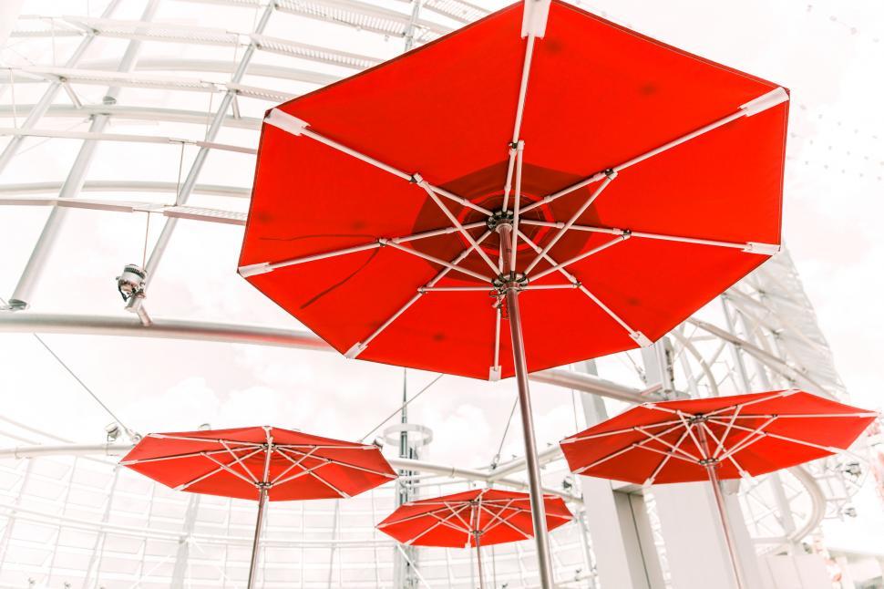 Free Image of Market Umbrellas 