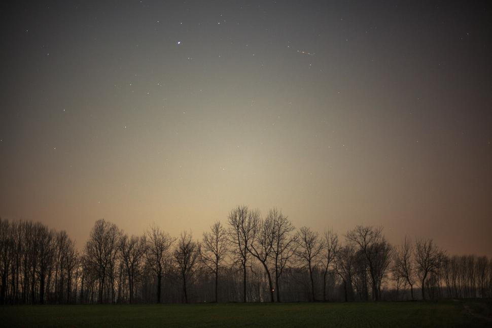 Free Image of Night sky full of stars 