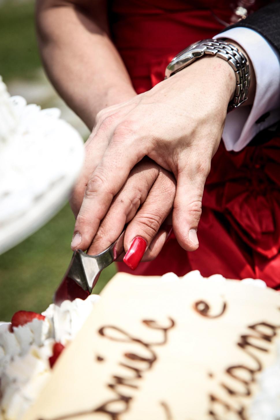 Free Image of Bride and groom and wedding cake 