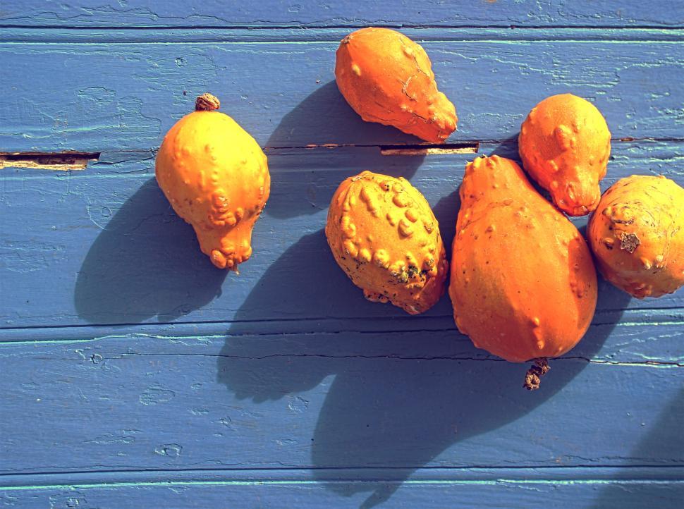 Free Image of Organic colorful pumpkins on blue wooden background 