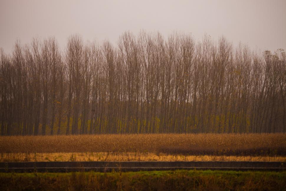 Free Image of Agricultural field 