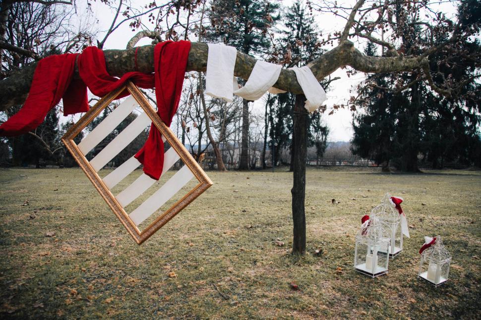 Free Image of Picture Frame Hanging From Tree in Field 