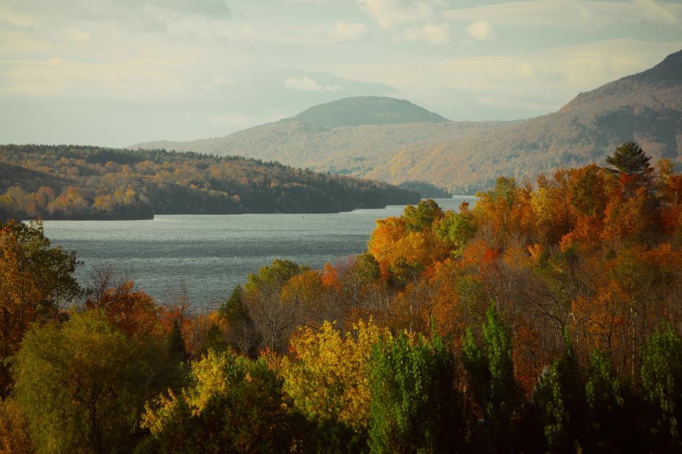 Free Image of Lake Surrounded by Trees With Mountains in the Background 