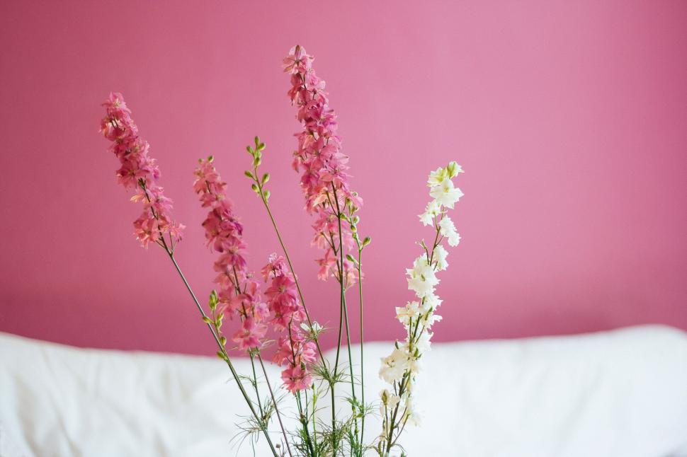 Free Image of Vase Filled With Pink and White Flowers 