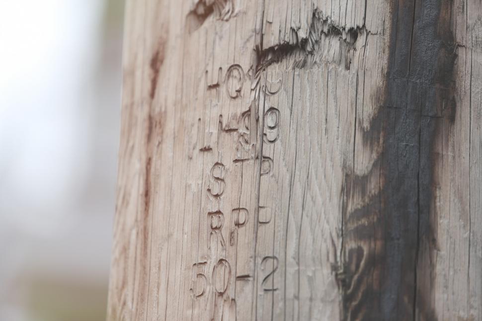Free Image of Close Up of Wood With Writing 