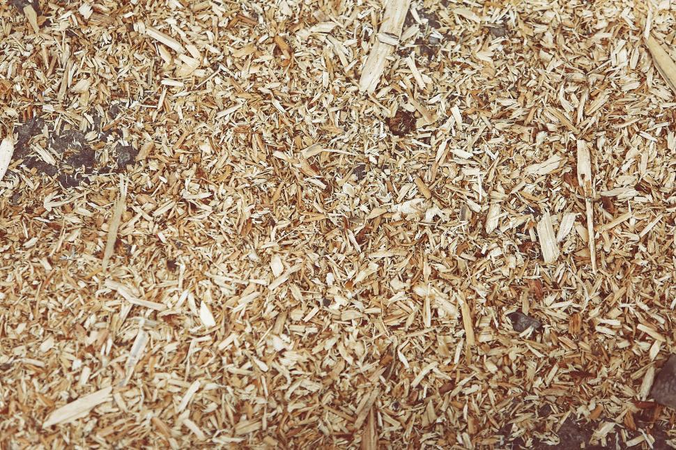 Free Image of Pile of Wood Shavings Close Up 