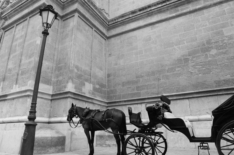 Free Image of Horse-Drawn Carriage in Black and White 