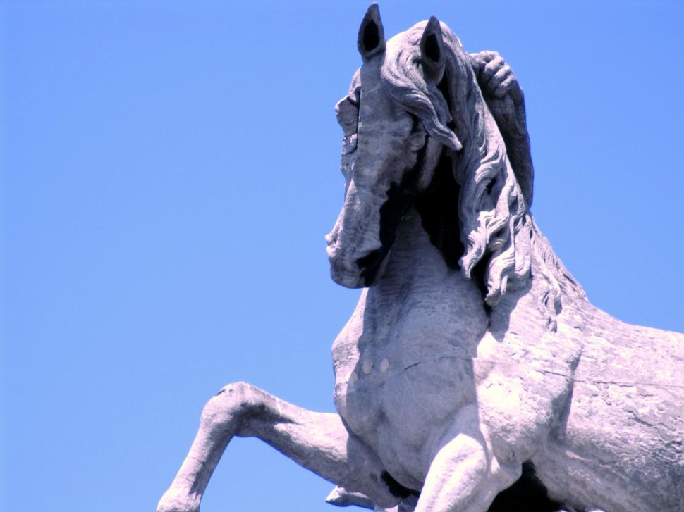 Free Image of Stone horse 