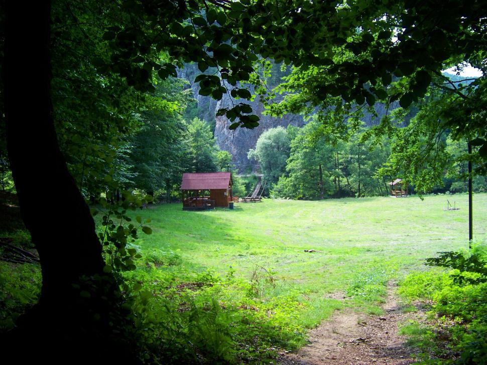 Free Image of Cottage in the middle of a glade  