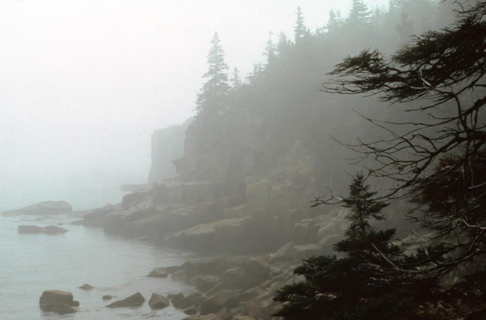 Free Image of Otter Cliff, Acadia NP 