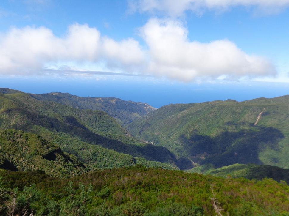 Free Image of Madeira nature landscape 