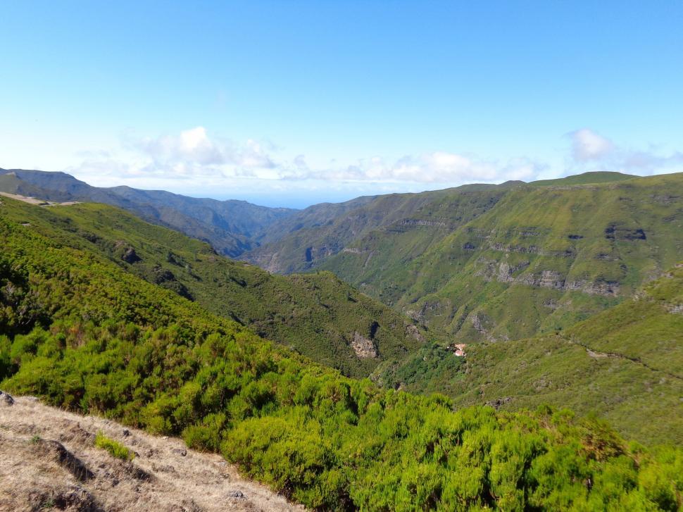 Free Image of Madeira nature  