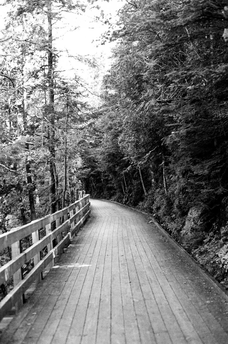 Free Image of Black and white path 