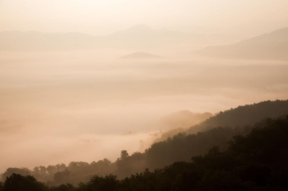 Free Image of Foggy Mountain Landscape With Foreground Trees 