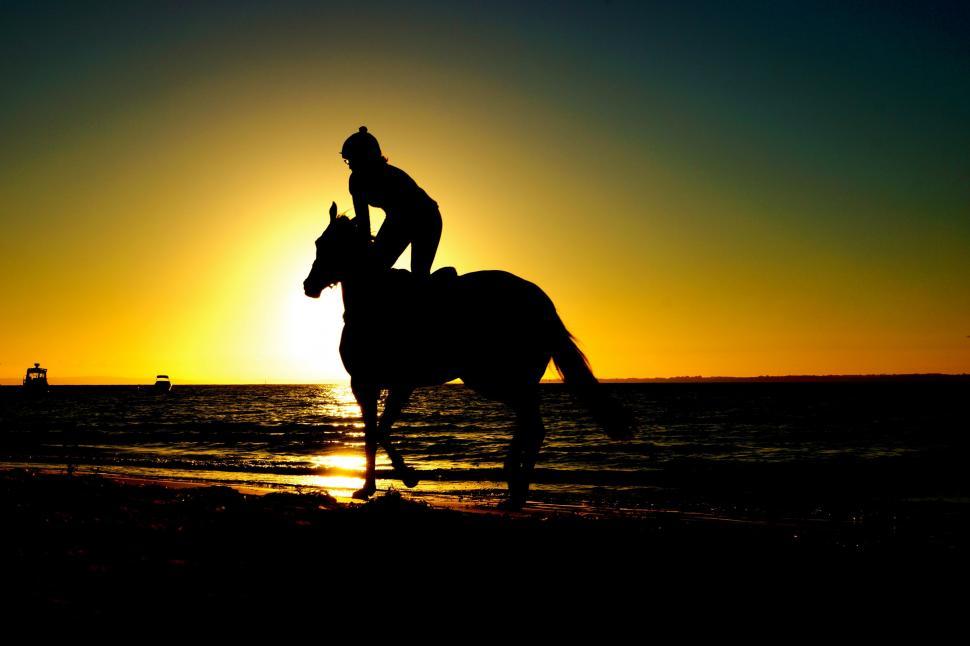 Free Image of Person Riding Horse on Beach at Sunset 