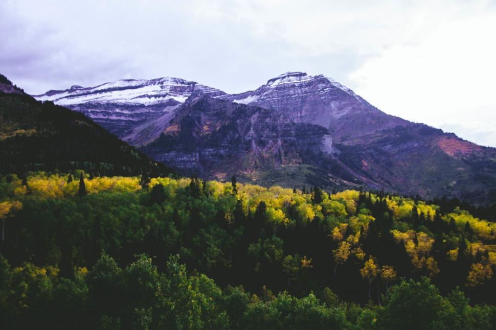 Free Image of Snow-Covered Mountains and Yellow Trees 