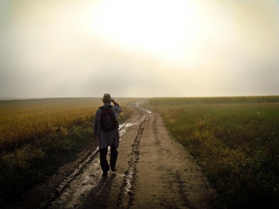 Free Image of Person Walking Down Dirt Road in Field 