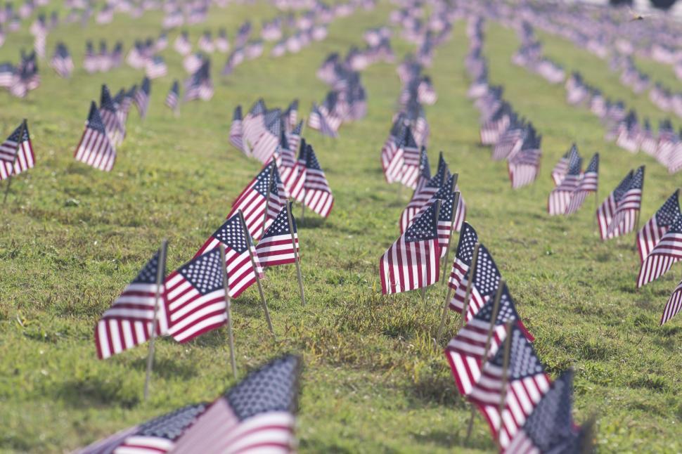 Free Image of Field Full of American Flags in the Grass 