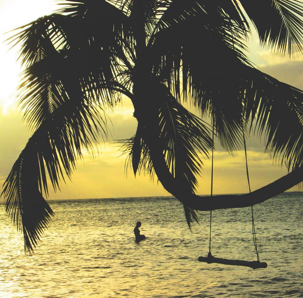 Free Image of Person Surfing on Water Under Palm Tree 
