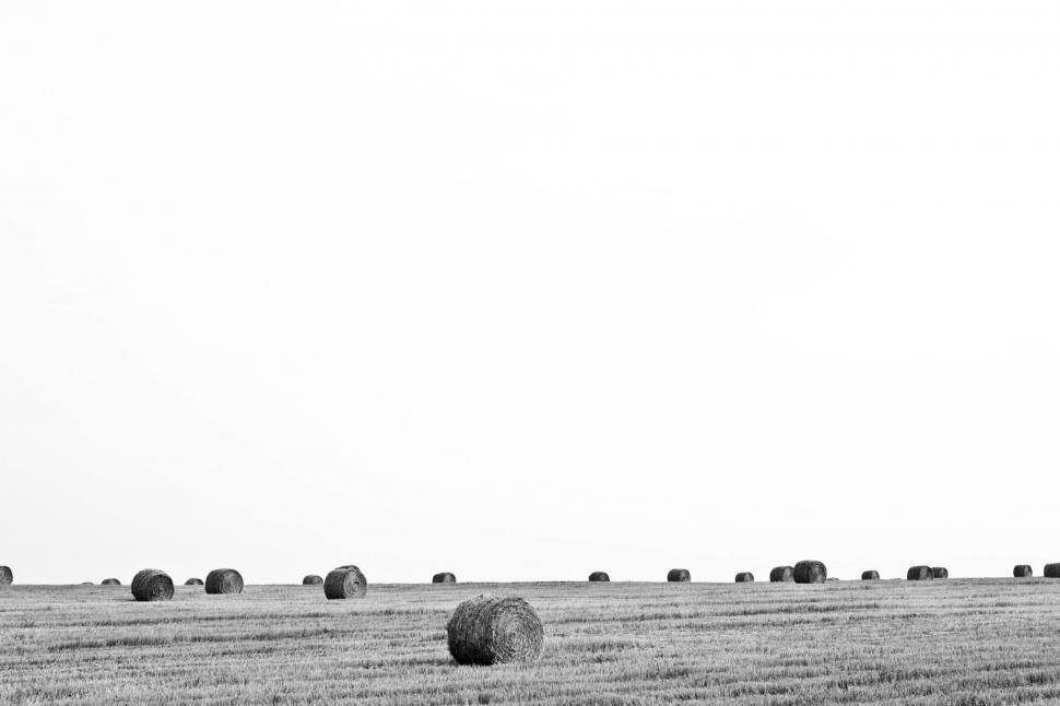 Free Image of hay landscape sky field summer fodder grass outdoors feed sun tree day horizon 